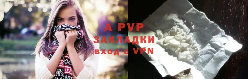 A-PVP СК  Западная Двина 